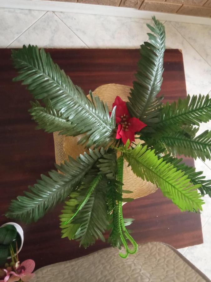 B&B Cleopatra Скалеа Екстер'єр фото